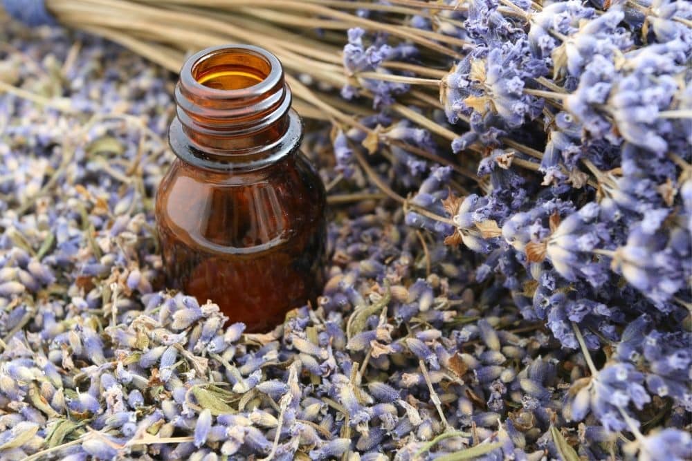 an open oil bottle with lavender