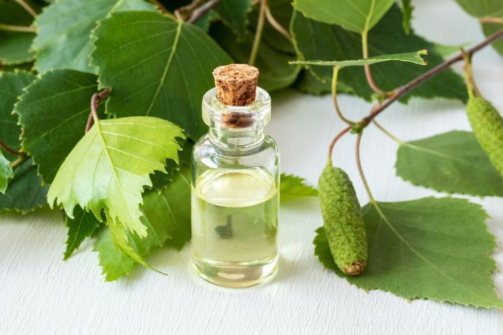 Birch Essential Oil