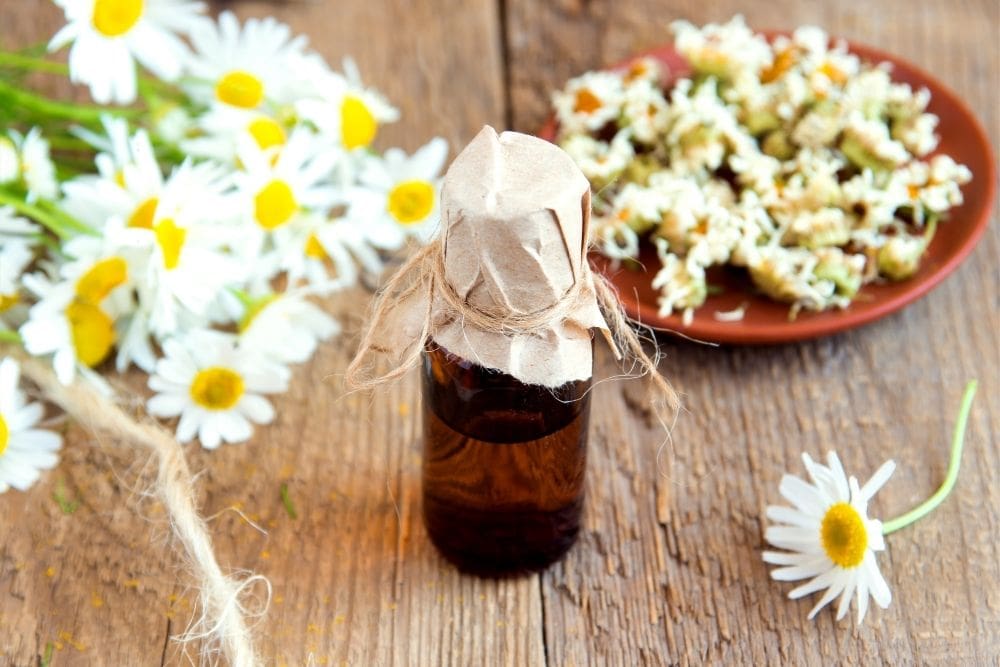 Chamomile Essential Oil