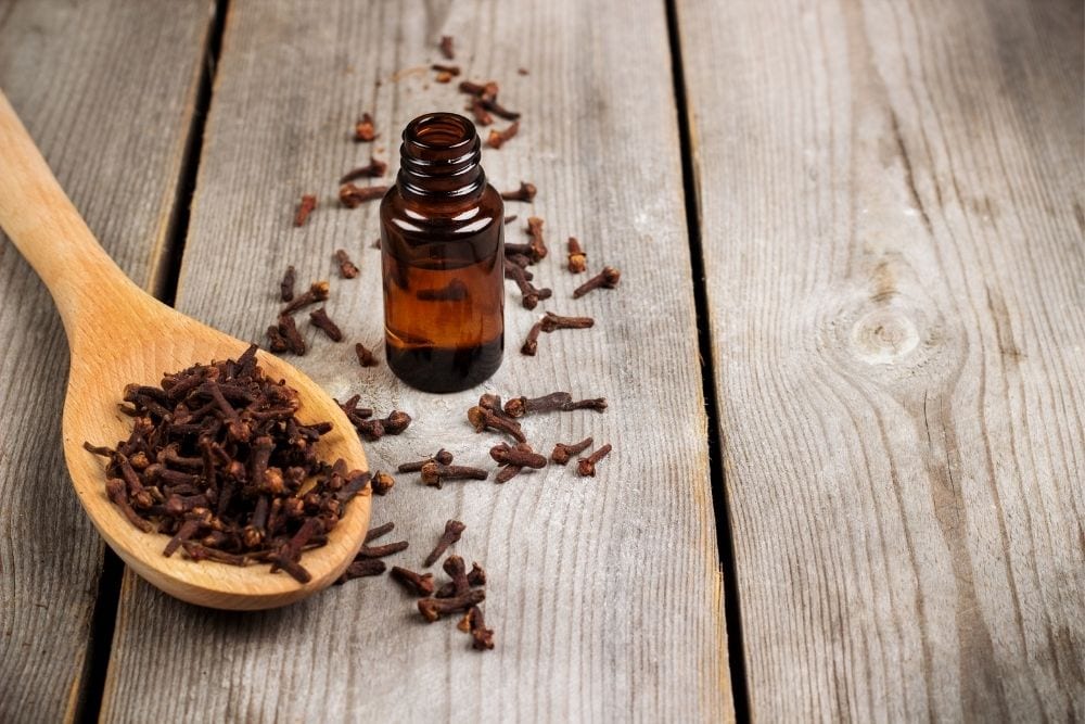 Clove Essential Oil