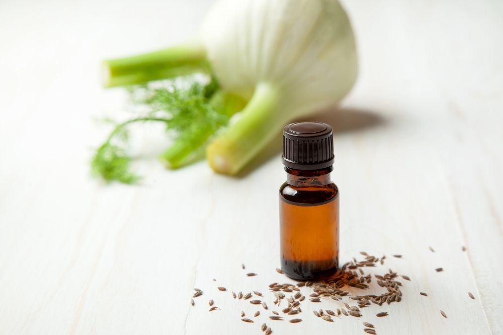 Fennel Essential Oil