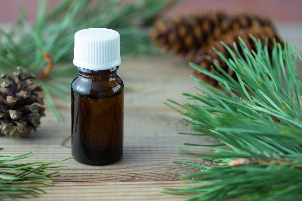 Pine Essential Oil