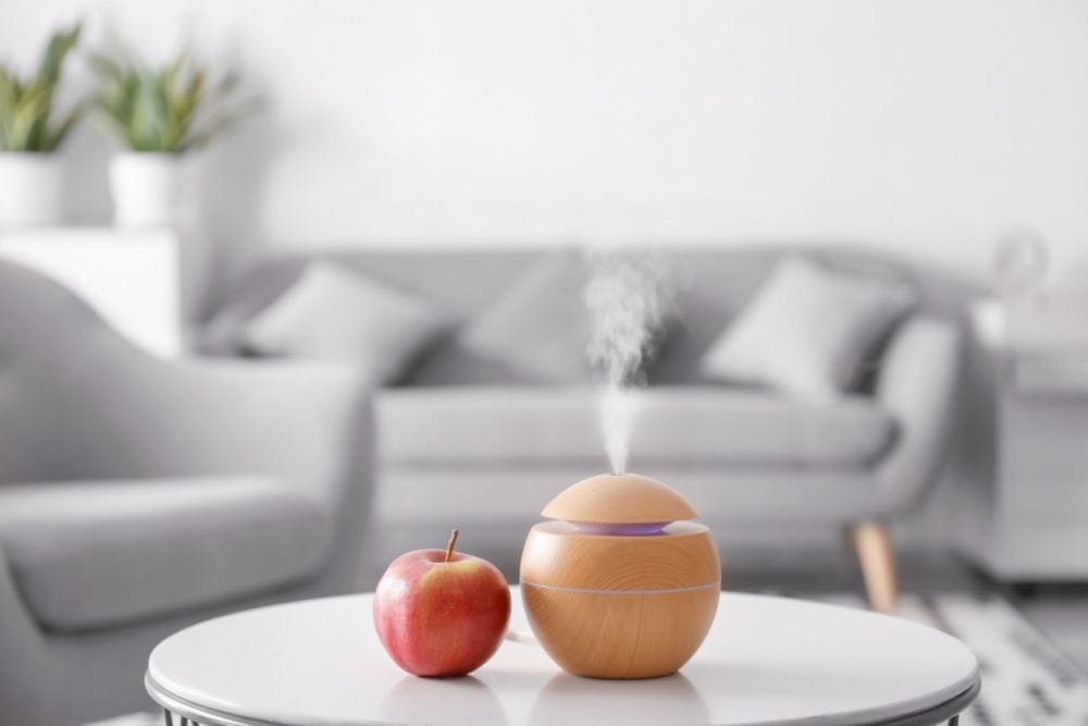 Which One Is Better, Humidifier or Diffuser?