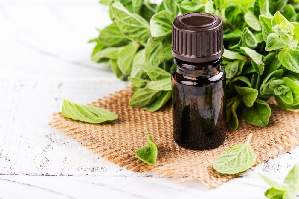 leaves and essential oil bottle on a table