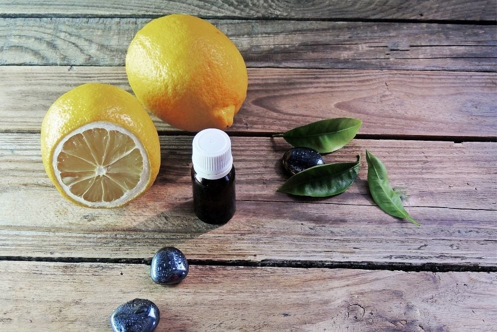 Can Dogs Have Lemon Essential Oil?