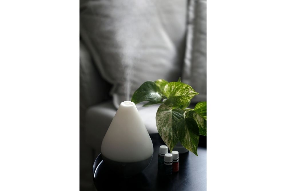 Essential Oil Diffusers And Plants