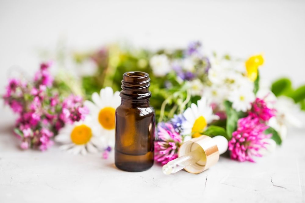 Essential Oils Are Not Bad For Plants