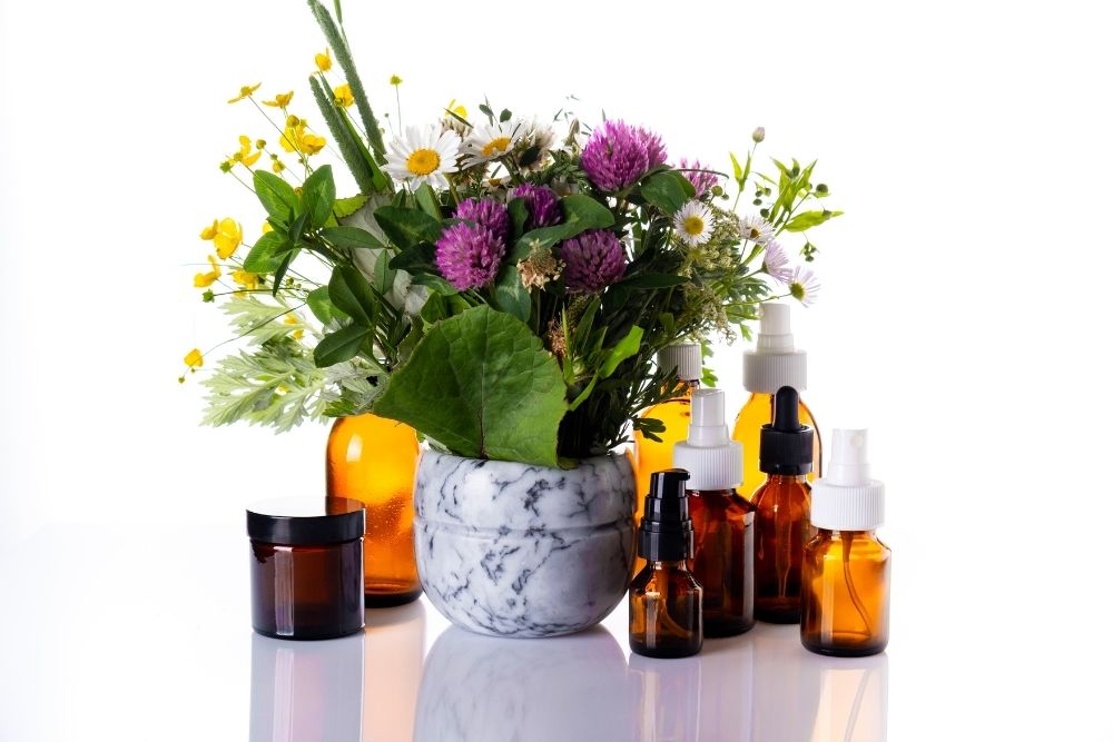 Essential Oils That Are Great For Plants