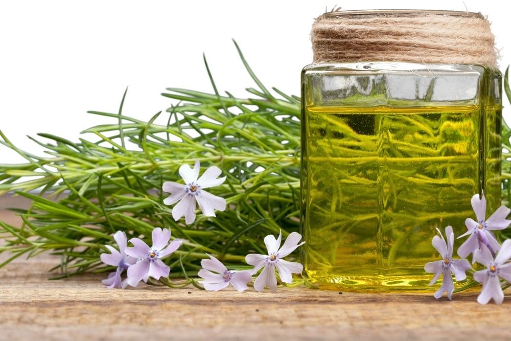 Plants, flowers and a bottle of oil