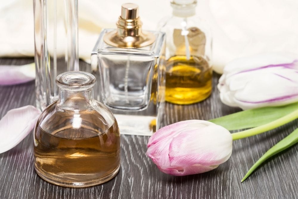The Best Method To Extract Essential Oils From Plants