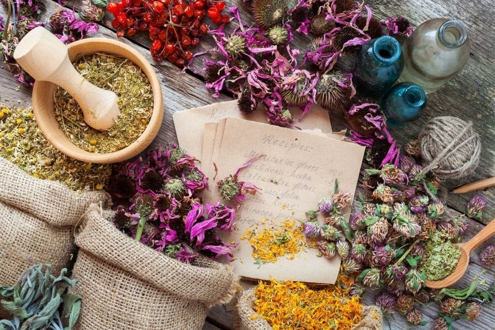 Dried Herbs and Flowers