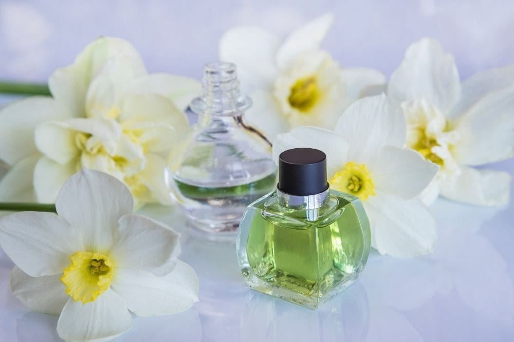 Fragrance Oil Vs Essential Oil