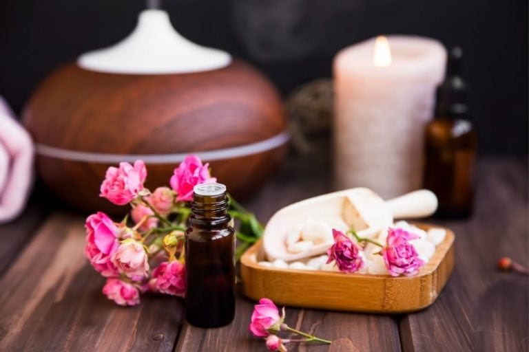 Do Diffusers Cause Mold? For The Essentials