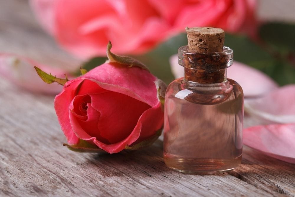 Rose Extract