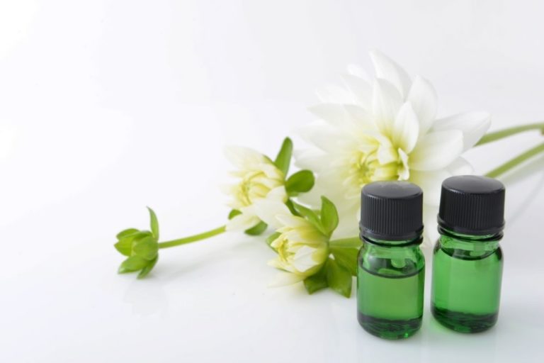 Do Diffusers Cause Mold? For The Essentials