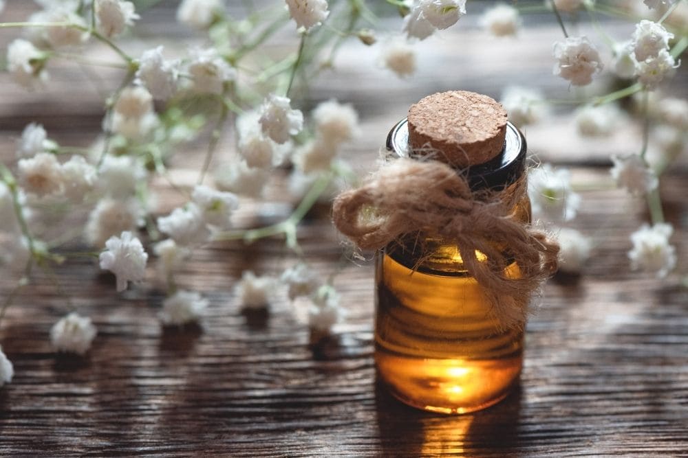 Are Expensive Essential Oils Worth It