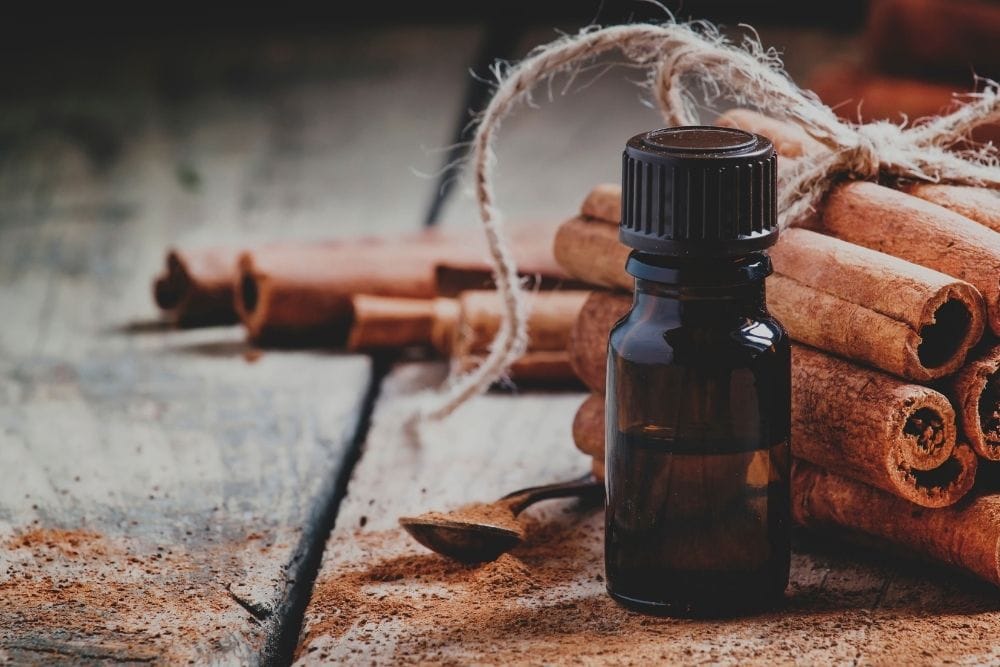 Cinnamon Bark Oil