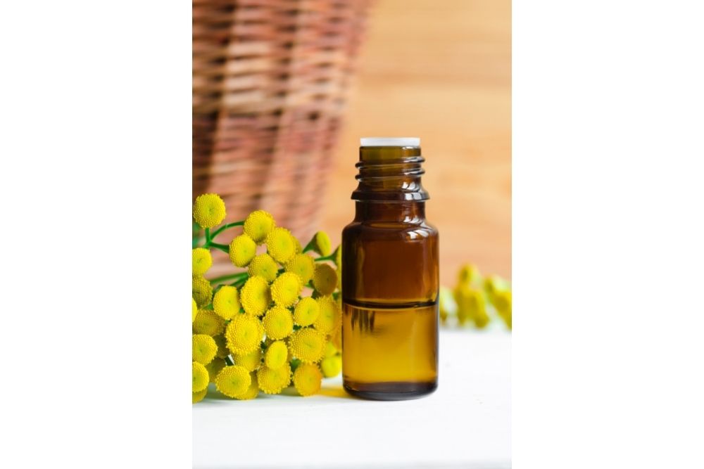 How Do You Use Blue Tansy Essential