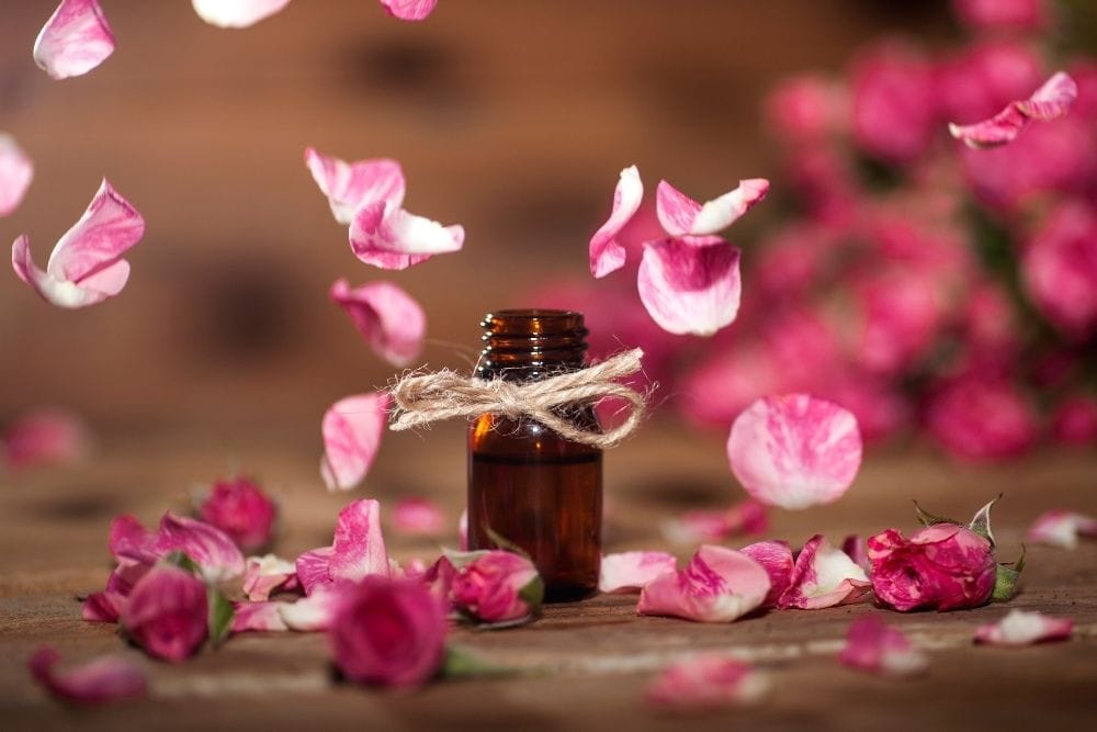 How Do You Use Rose Essential Oil