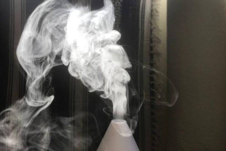 Diffuser vs. Vaporizer Which is the Best to Use at Home? For The Essentials