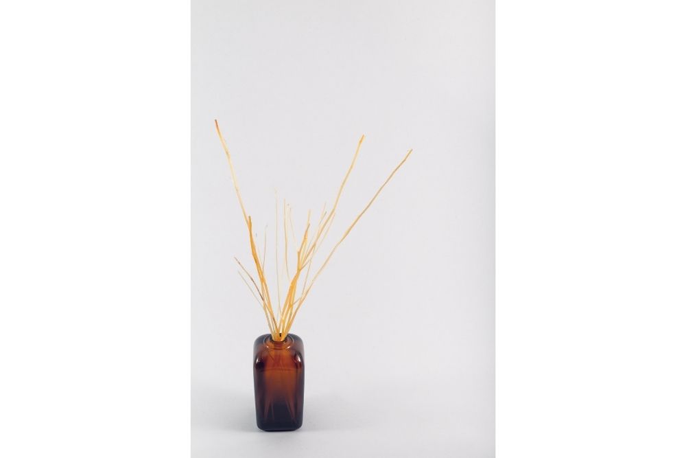 7 Fastest Absorbing Oils for Reed Diffuser