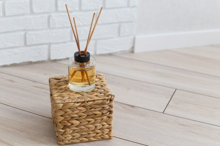 Are Reed Diffusers Safe for Cats? For The Essentials