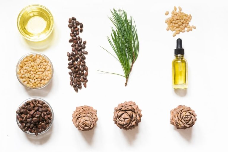 Are Reed Diffusers Safe for Babies? For The Essentials