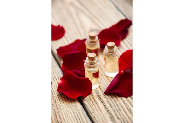 Young Living Regular Oils vs. Vitality Oils What’s The Difference? For The Essentials