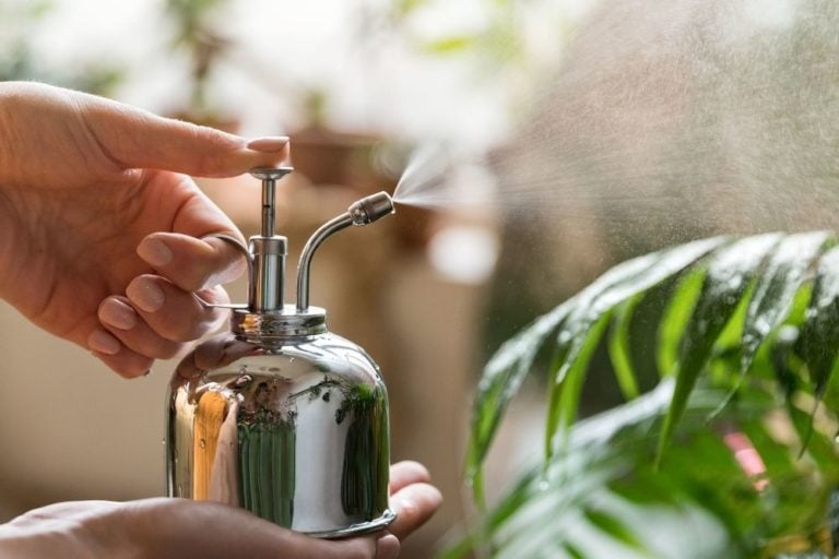 Can You Use Room Spray in a Reed Diffuser? For The Essentials