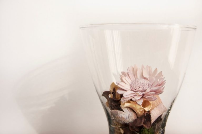 Reed Diffuser vs. Air Freshener For The Essentials